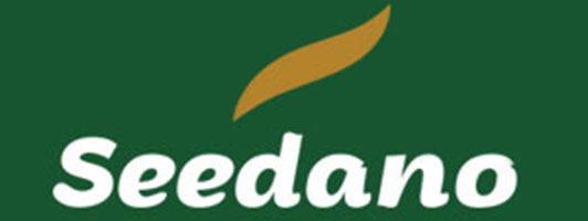 seedano.com